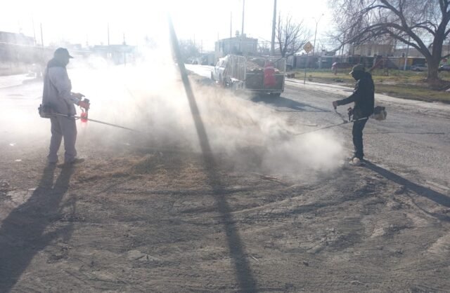 699defd20b38b__699defd20b38c