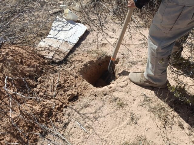 82b01e8c-4f26-42df-bb5f-bf0d5d41683b