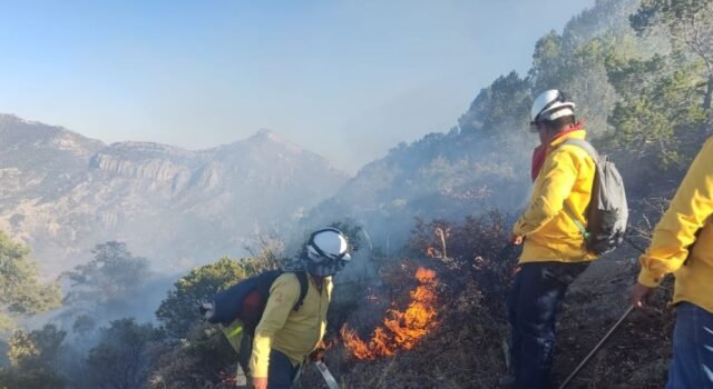 Llama SDR a reforzar medidas de prevención contra incendios forestales