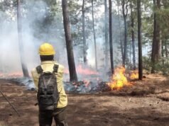 Reitera SDR recomendaciones para prevenir incendios forestales durante el periodo vacacional