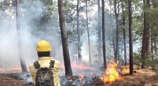 Reitera SDR recomendaciones para prevenir incendios forestales durante el periodo vacacional