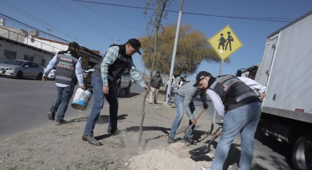 Impulsan reforestación en vialidad Montes Urales