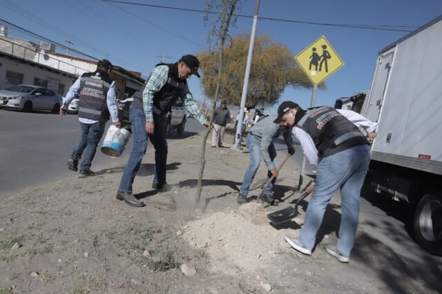 69bd95fedc4a3__69bd95fedc4a4