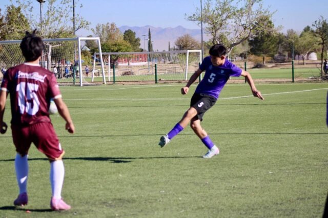 69c16593723a7__69c16593723a8