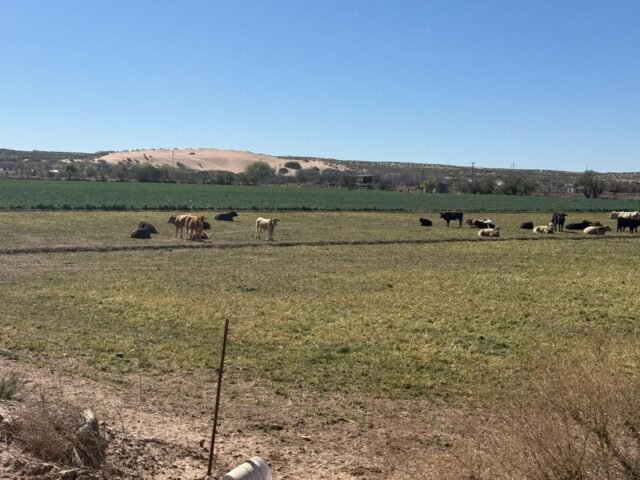 69c41ecd4949d__69c41ecd4949f