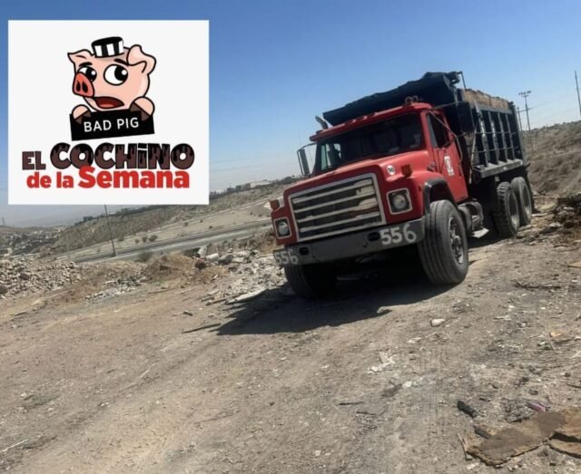 d069872e-c9e2-40e0-9588-1959ddf0e802