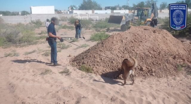 Concluye FGE rastreo en terreno baldío