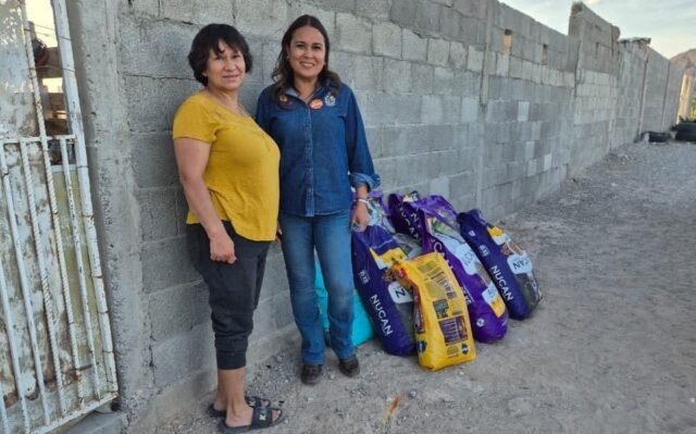 69d0062a617ec__69d0062a617ed