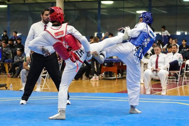 69d4008d09220__69d4008d09221