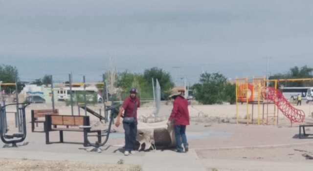 Invita Dirección de Limpia hacer solicitudes de servicio por las vías oficiales