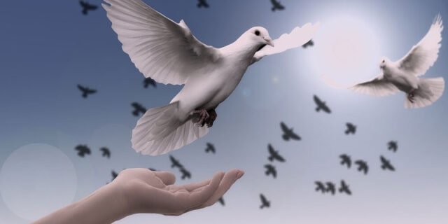 COMUNIDADES DE PAZ-04