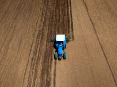 Para las y los productores de frijol de Chihuahua, se amplía en 5 mil toneladas adicionales el acopio de frijol