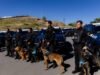 Refuerza Marco Bonilla seguridad con K-9 único en México que detecta fentanilo