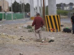 Atiende Parques y Jardines camellón de la calle Pino Seco