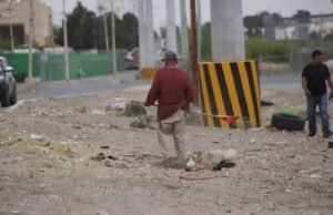 Atiende Parques y Jardines camellón de la calle Pino Seco