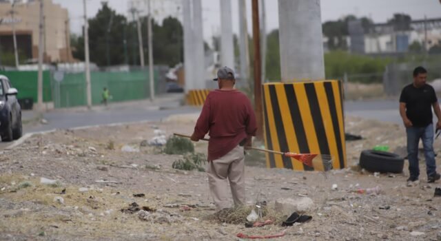 Atiende Parques y Jardines camellón de la calle Pino Seco