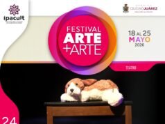 IPACULT invita a disfrutar en el CMA la obra “Mi alma grita el silencio de mi niña”