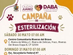 Realizará DABA campaña de esterilización gratuita el fin de semana