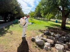 Fumigan personal de Ecología y Canaco el parque Los Güeros