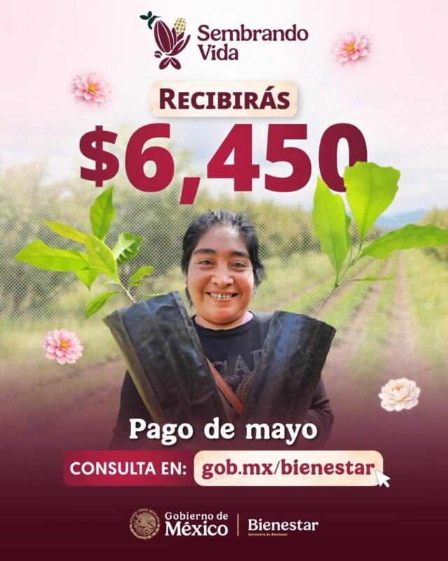 720010465_1592323719567110_6895576432438112907_n