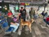 Refuerza SSPM seguridad en la terminal de autobuses