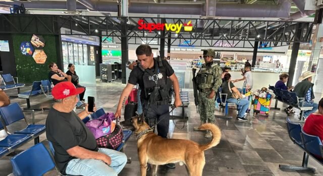 Refuerza SSPM seguridad en la terminal de autobuses