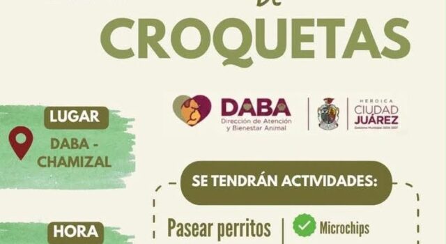 Invita DABA este sábado al evento Ruta de Croquetas