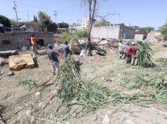 Inicia Limpia labores preventivas de limpieza en arroyos y diques