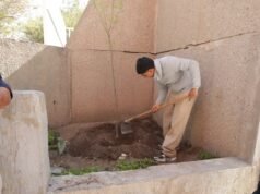 Impulsa Resiliencia rehabilitación de jardineras en Presidencia Municipal