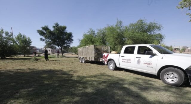 Realizan mantenimiento integral en el Parque Roma