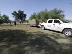 Realizan mantenimiento integral en el Parque Roma