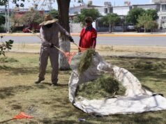 Realiza Parques y Jardines labores de mantenimiento en el Parque de La Familia