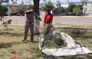 Realiza Parques y Jardines labores de mantenimiento en el Parque de La Familia