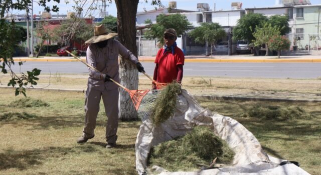 Realiza Parques y Jardines labores de mantenimiento en el Parque de La Familia