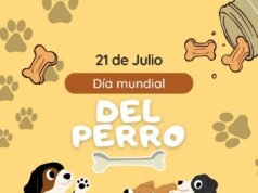 Celebra DABA el Día Mundial del Perro