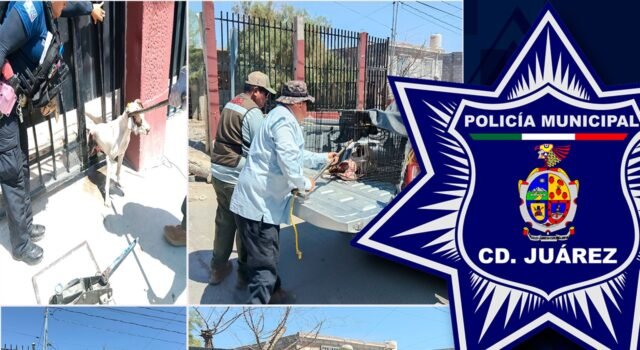 Apoyan policías municipales en rescate de un perro atrapado en un barandal