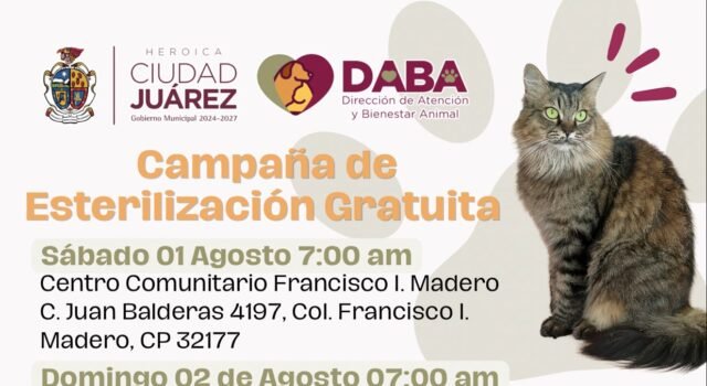 Llevará DABA mañana esterilizaciones gratuitas al comunitario Francisco I. Madero