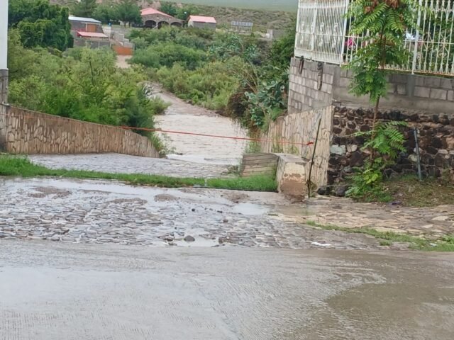 WhatsApp Image 2026-07-20 at 12.46.09 PM