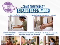 Llama Secretaría de Salud a reforzar medidas preventivas contra el Gusano Barrenador