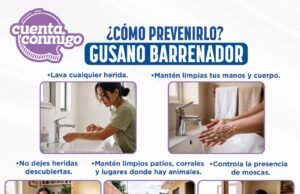 Llama Secretaría de Salud a reforzar medidas preventivas contra el Gusano Barrenador