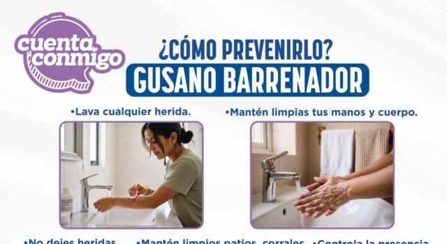 Llama Secretaría de Salud a reforzar medidas preventivas contra el Gusano Barrenador