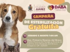 Llevará DABA mañana esterilizaciones gratuitas a Riberas del Bravo