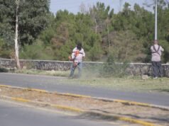 Dan mantenimiento integral a camellones de la calle Ing. David Herrera Jordán