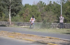 Dan mantenimiento integral a camellones de la calle Ing. David Herrera Jordán