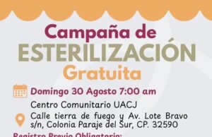 Llevará DABA esterilizaciones gratuitas a Parajes del Sur este domingo