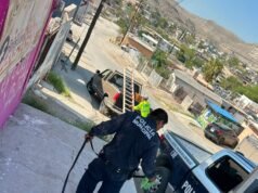 Brinda SSPM apoyo ciudadano para rescatar a perro en la colonia Emiliano Zapata