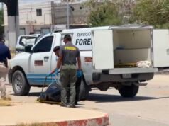 Localizan a hombre sin vida en la explanada de la antigua ley