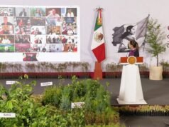 Chihuahua participará en Jornada Nacional de Reforestación 2026