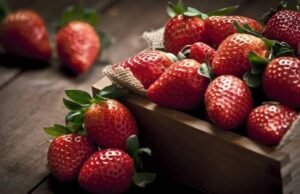 Importaciones a bajo precio de fresas podrían afectar a casi 5 mil productores