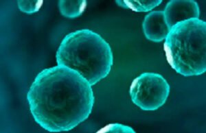 Brote de ciclosporiasis en Estados Unidos deja dos fallecidos y más de 11 mil casos